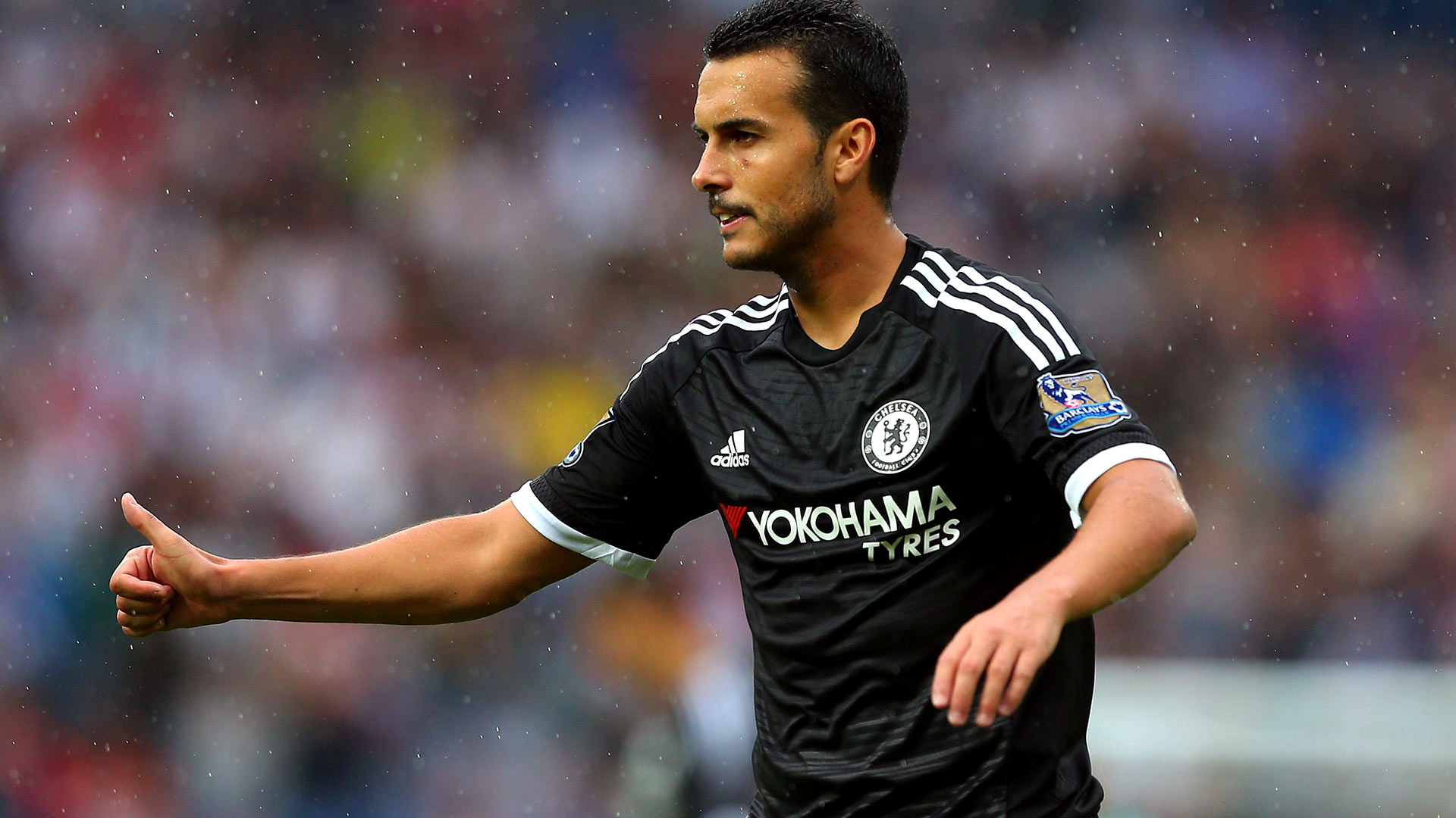 Pedro-Chelsea